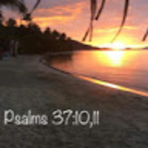 Meet your Posher, Taye